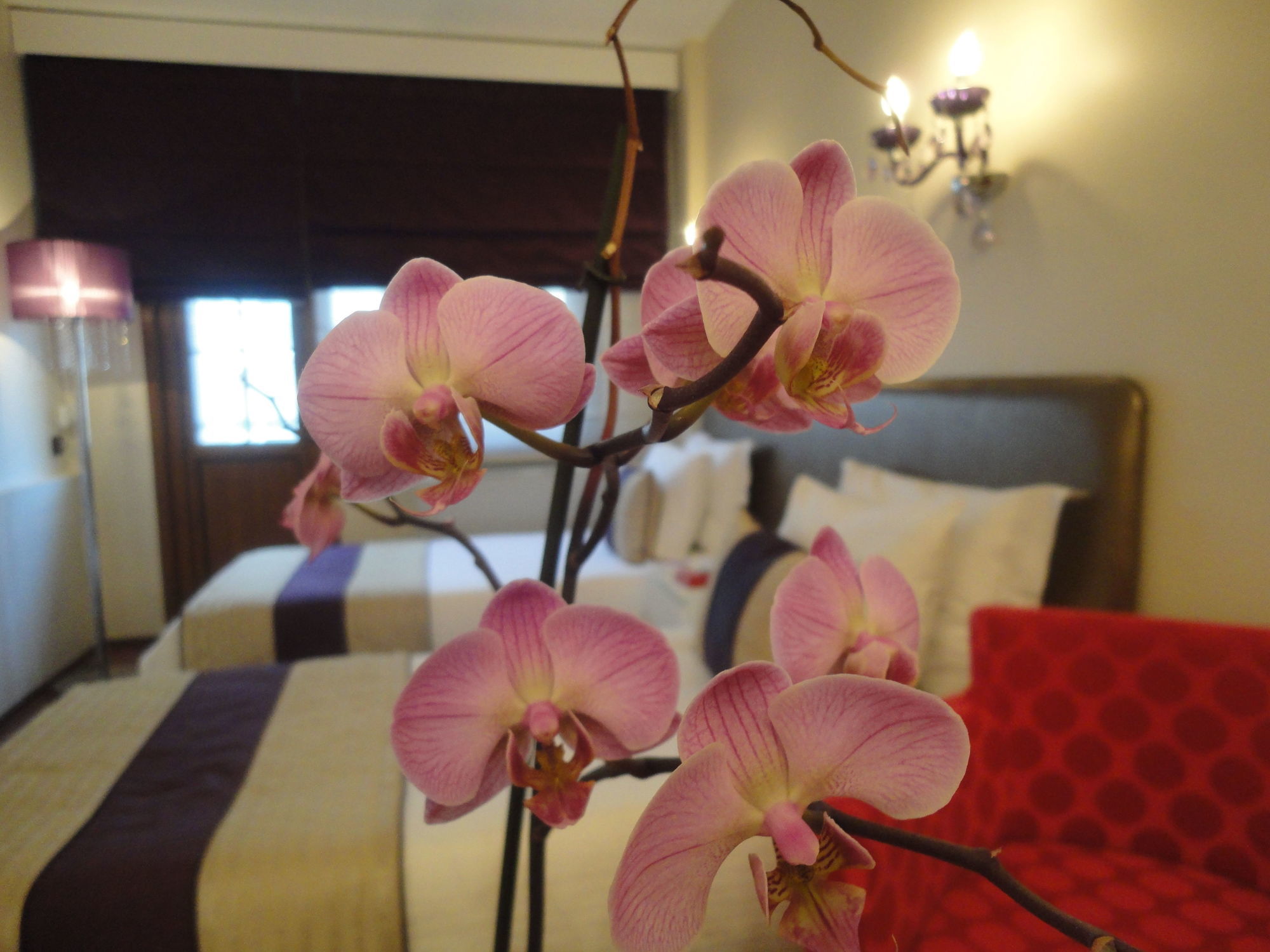 איסטמבול Bakirkoy Tashan Business & Airport Hotel מראה חיצוני תמונה