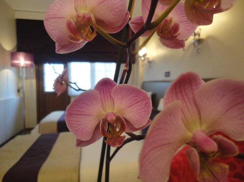 איסטמבול Bakirkoy Tashan Business & Airport Hotel מראה חיצוני תמונה